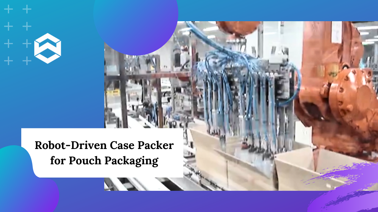 Robot-Driven Case Packer for Pouch Packaging